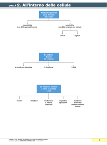 unità 2. All`interno delle cellule