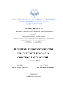 Abstract Mirko Tantimonaco IT - Università degli Studi di Roma