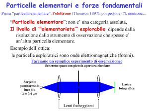 Particelle elementari e forze fondamentali