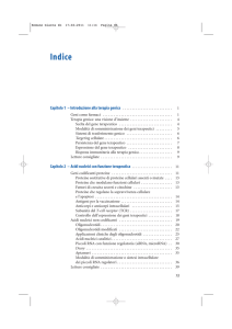 Indice - Springer