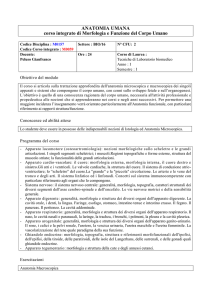 ANATOMIA UMANA corso integrato di Morfologia e Funzione del