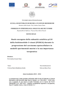 Ruolo oncogeno della subunità catalitica p110 della fosfoinositide