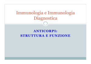 Anticorpi-Struttura e Funzione