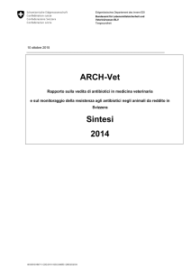 Rapporto sulla vedita di antibiotici in medicina veterinaria e sul