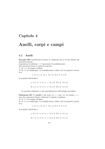 Anelli, corpi e campi