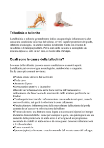 Tallodinia o tallonite Quali sono le cause della tallodinia?