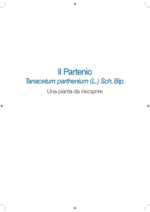 Il Partenio - cloudfront.net