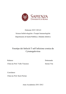 Fenotipo dei linfociti T nell`infezione cronica da Cytomegalovirus!