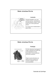 Dotto Arterioso Pervio - Area