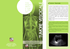 tumore vescicale - Società Italiana di Urologia