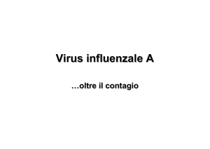 Virus influenzale A