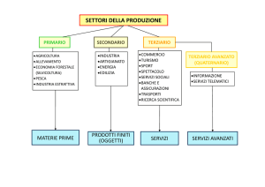 settori della produzione