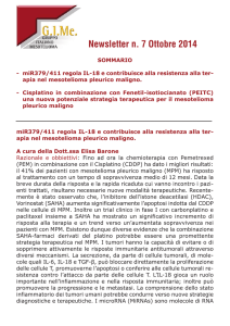 Newsletter n. 7 Ottobre 2014 - Gruppo Italiano Mesotelioma