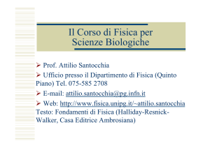 +q - Dipartimento di Fisica