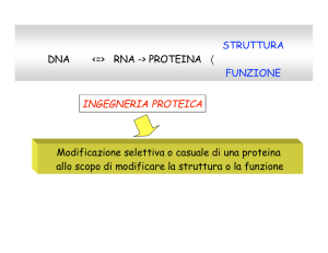 STRUTTURA DNA  RNA -> PROTEINA ( FUNZIONE