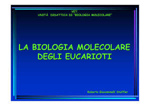 la biologia molecolare degli eucarioti - Progetto e