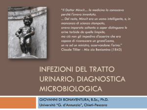 Chieti-Pescara - Infezioni del tratto urinario: diagnostica