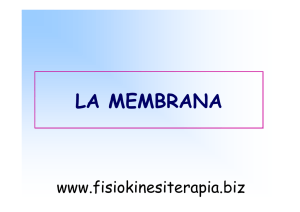 la membrana - Fisiokinesiterapia