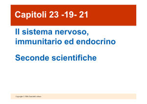 Nervoso_immunitario _endocrino _II sci