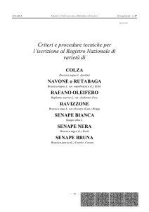 Parte di provvedimento in formato grafico