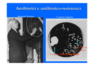 Antibiotici e antibiotico