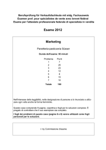 Specialista in Vendita Fallstudie Marketing 2012