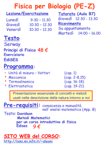 Unità di misura – Vettori