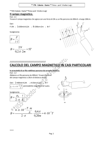 CALCOLO DEL CAMPO MAGNETICO IN CASI PARTICOLARI