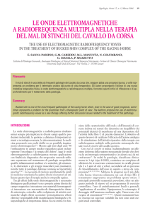 LE ONDE ELETTROMAGNETICHE A RADIOFREQUENZA