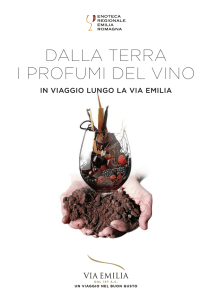 dalla terra i profumi del vino