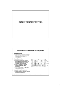 rete di trasporto ottica