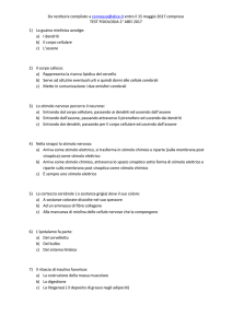 test fisiologia 2&deg; anno 2017 - A-BEI