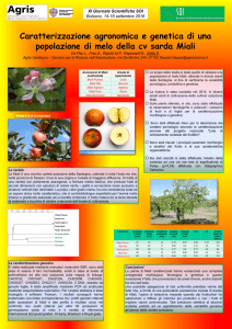 02 - Caratterizzazione pomologica e genetica di melo della cv Miali