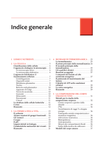 indice generale.indd - Libreria Universitaria Ferrara
