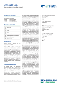 CD38 (SP149) - Menarini Diagnostics