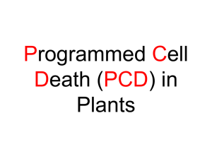 9 Morte cellulare programmata pdf - e
