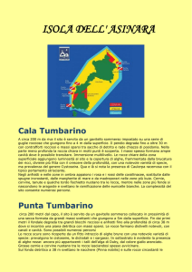 PN Asinara - ASD Amici del Mare