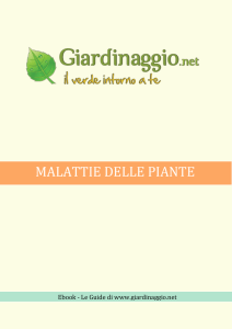 Malattie delle piante