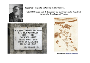 Nobel 1908 dopo anni di discussioni sul significato della fagocitosi