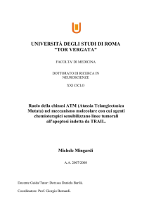 TESI DOTTORATO Neuroscienze XXI Ciclo Michele Mingardi