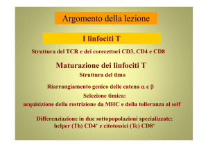 linfociti T - Università degli Studi di Roma "Tor Vergata"