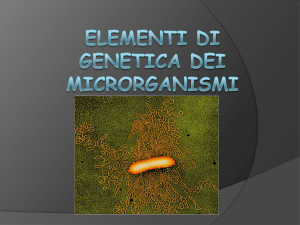 genetica dei microrganismi