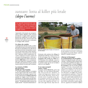 zanzare: lotta al killer più letale