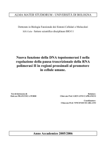 Nuova funzione della DNA topoisomerasi I nella regolazione della