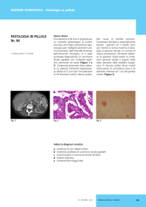 Mazzucchelli L, Cereda G, Leiomiomatosi e carcinoma renale
