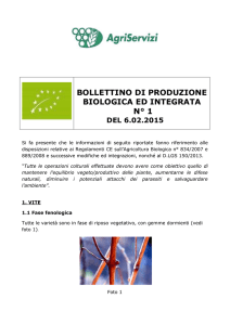 Bollettino n. 1 del 06.02.2015