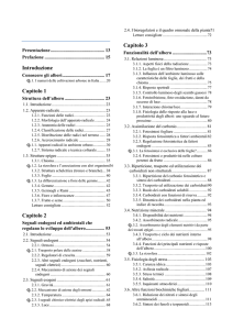 Indice e introduzione Sansavini