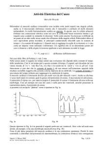 Attività Elettrica del Cuore