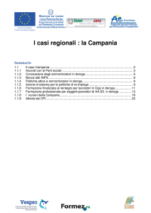I casi regionali : la Campania