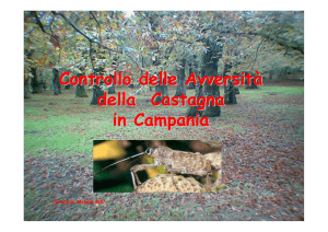 Avversità del Castagno in Campania
